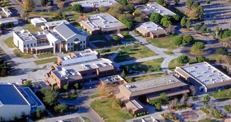 Aerial View of IVC